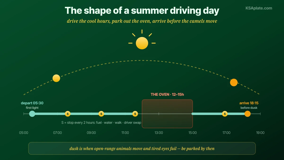 The rhythm of a Saudi summer road trip day shown on a timeline under a sun arc: depart at first light around 5:30, drive the cool hours with a stop every two hours, park out the midday oven from noon to three in shade with food and rest, run the afternoon leg with the same two-hour stops, and arrive before dusk because open range camel crossings at twilight are the most dangerous hour of the day